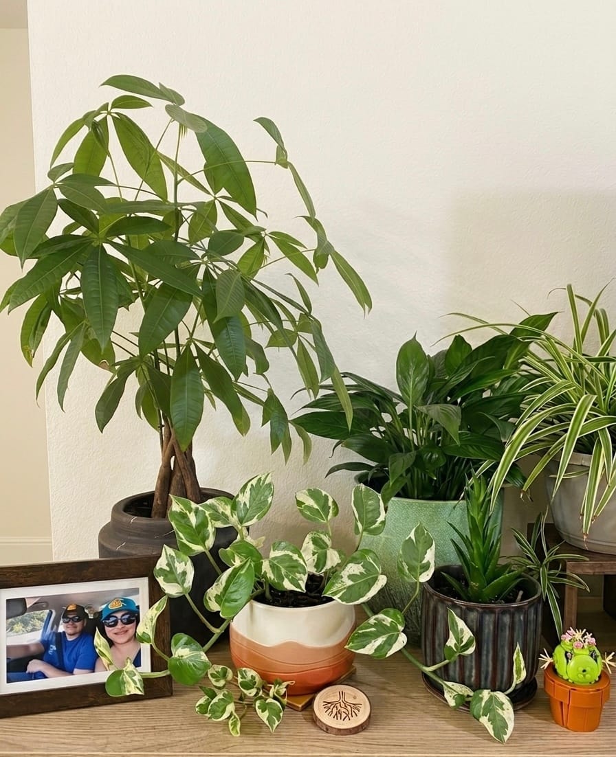 Spring: A Universal Beginning