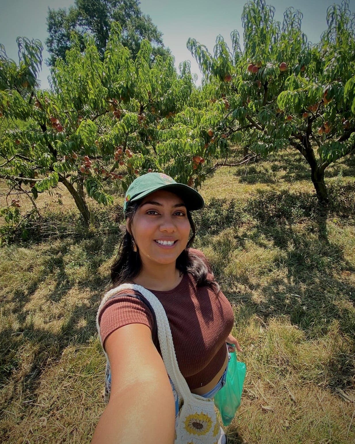 About Rooted and Rising